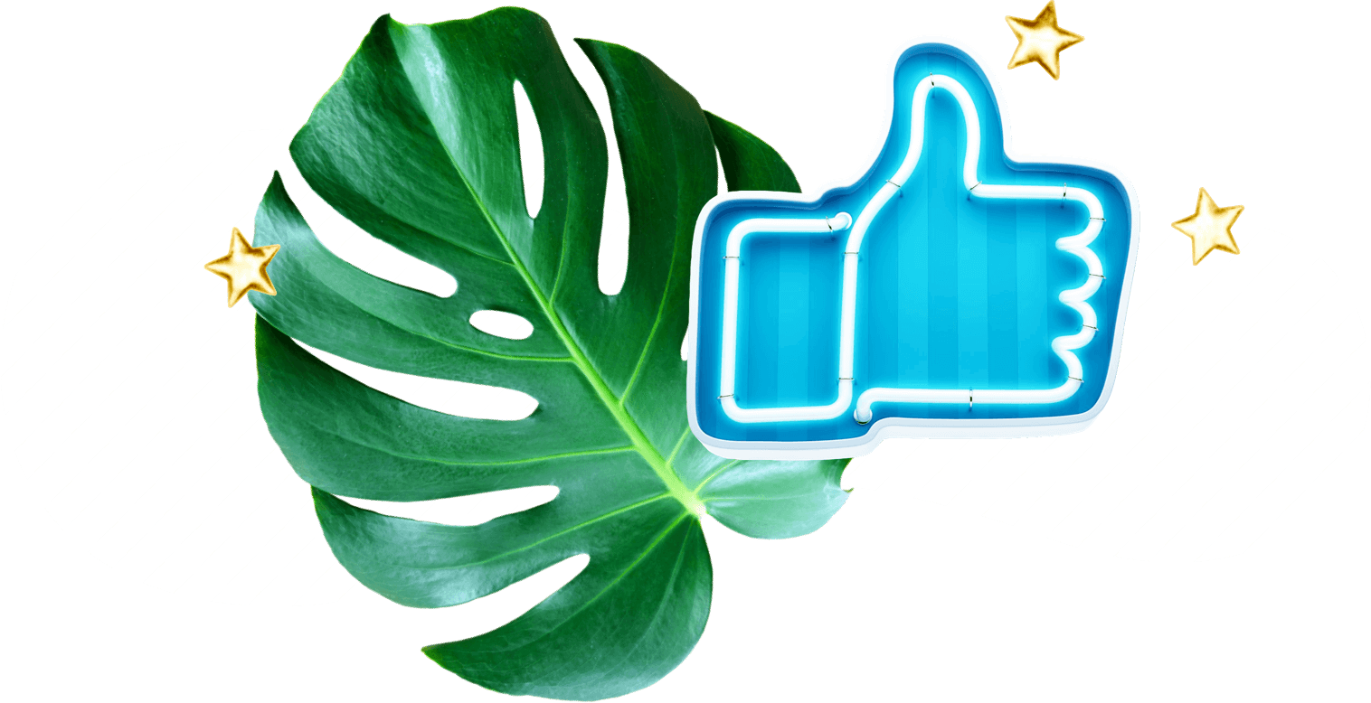 Video intro maker online