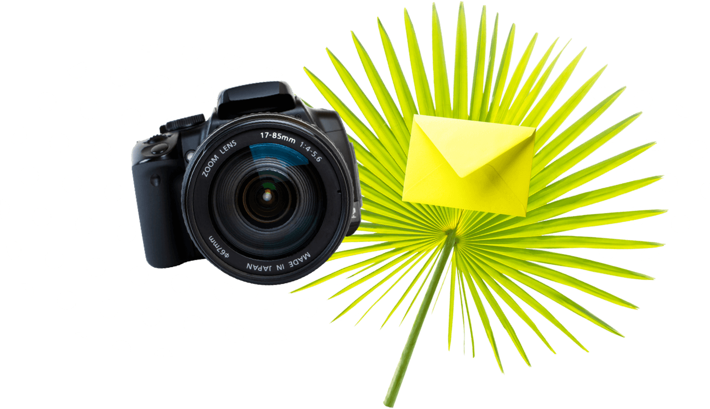 Mix and match your own videos with stock footage