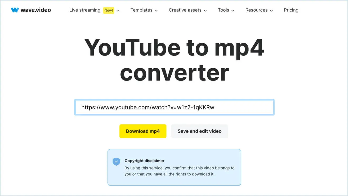 Maldición datos alma Convertisseur YouTube en MP4 | Wave.video