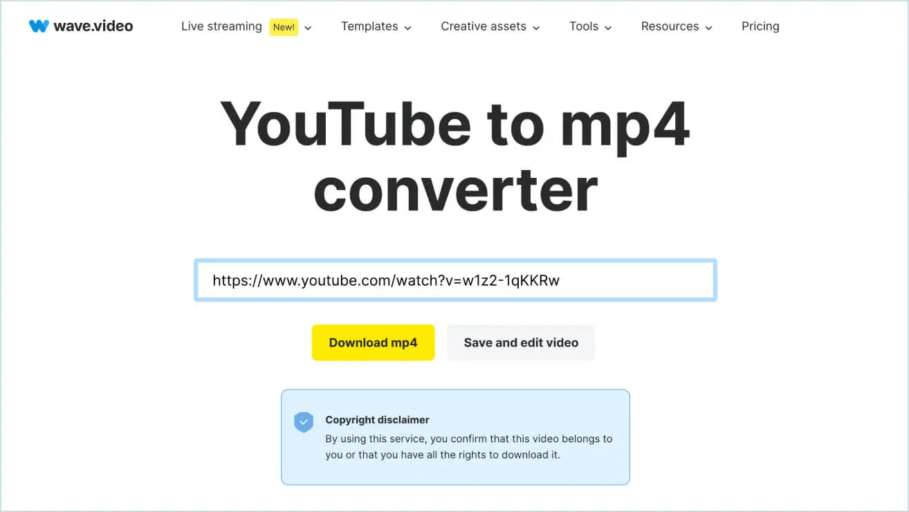 Youtube To Mp4 Converter | Wave.Video