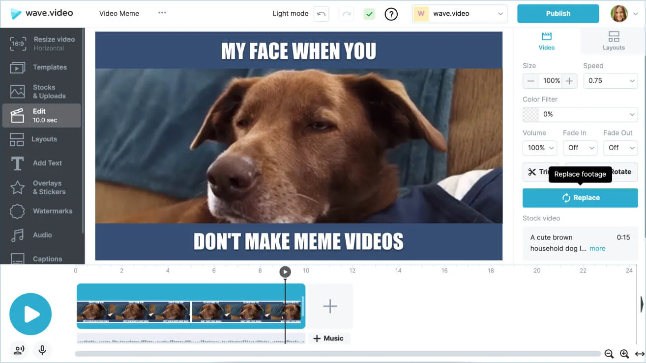 Online Meme Generator - Create Video Memes, Free 