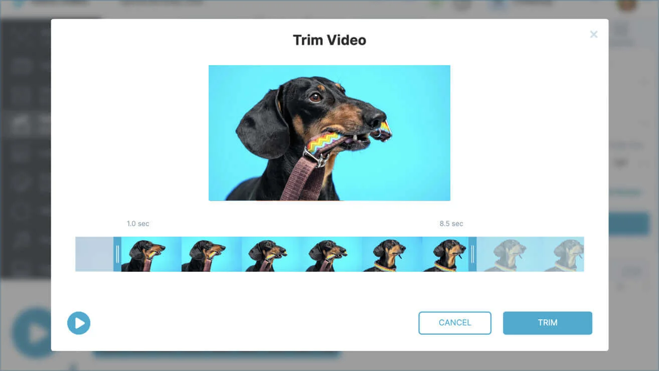 Step 3. Trim your video.
